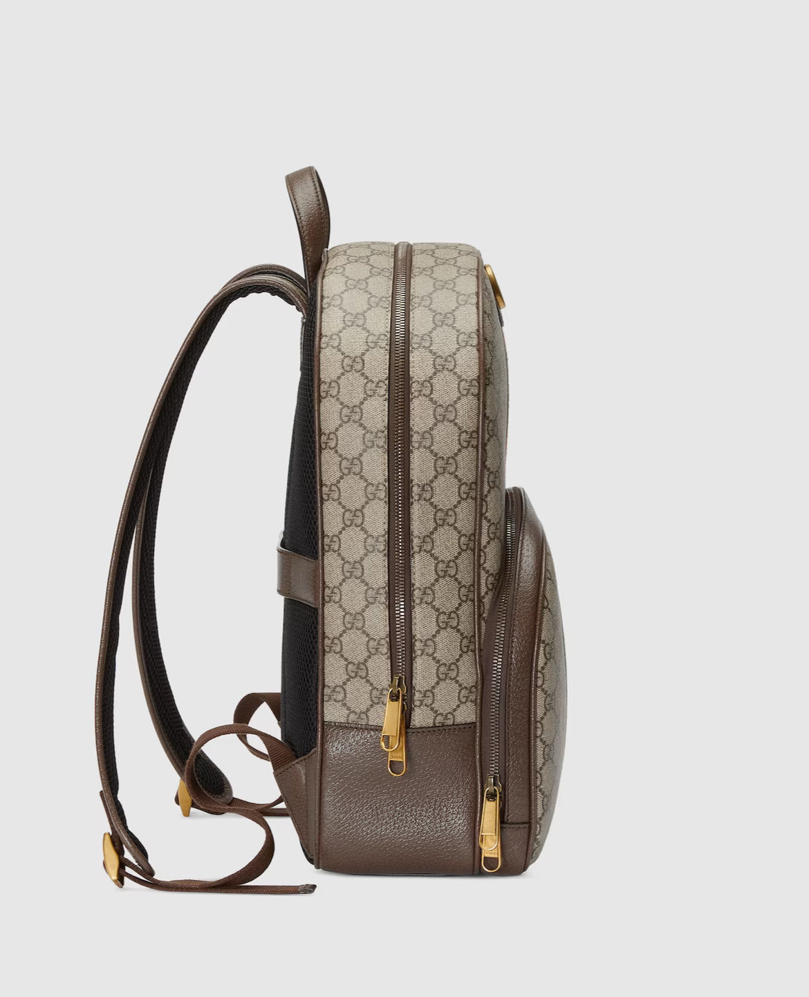 Sac Ă dos Ophidia moyen format