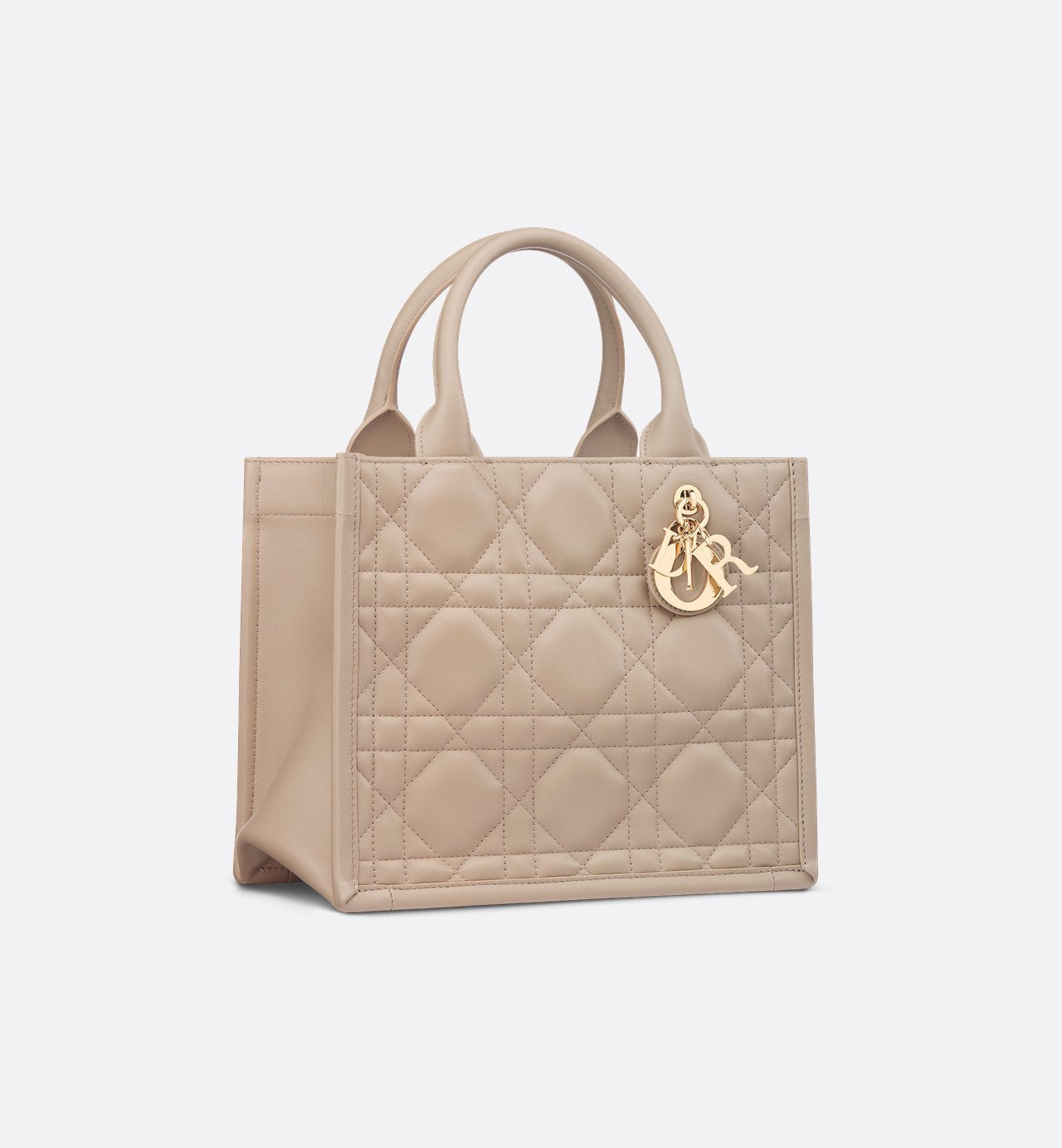Sac Dior Book Tote Small