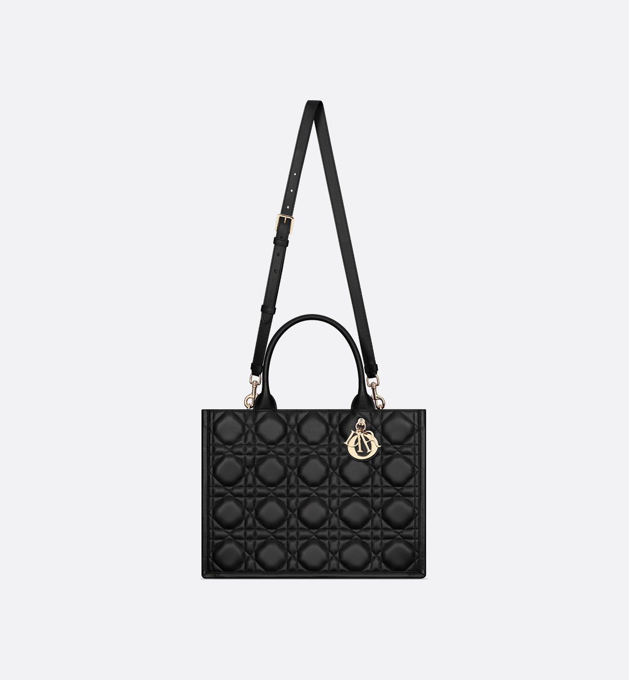 Sac Dior Book Tote Medium