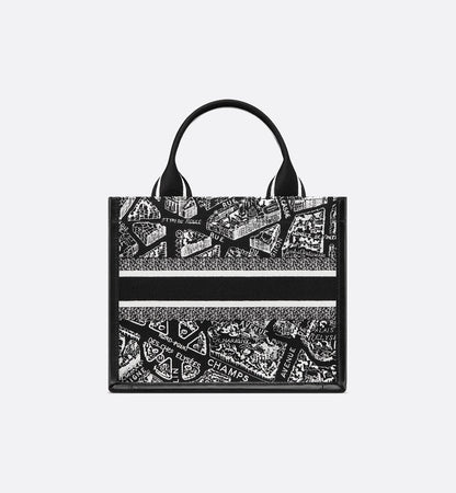 Sac Dior Book Tote Small